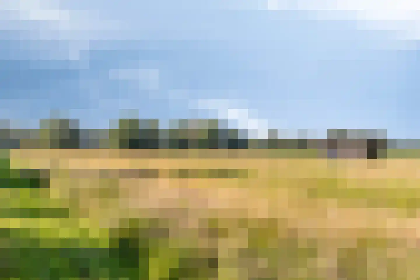 Vesaliuslaan Venray thumbnail 6
