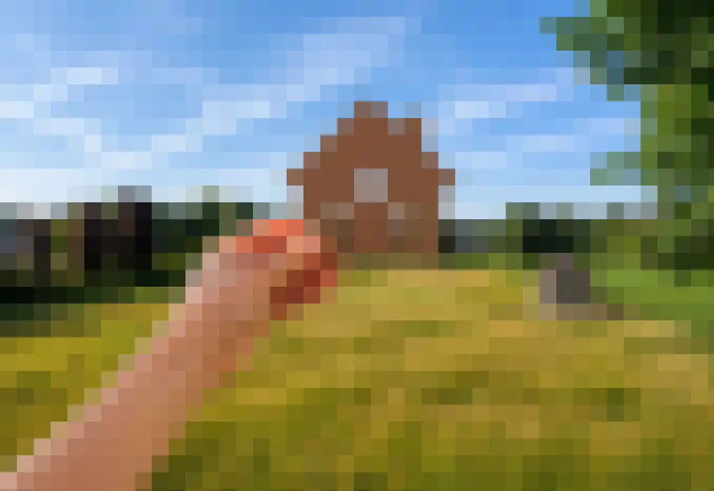 Vesaliuslaan Venray thumbnail 8