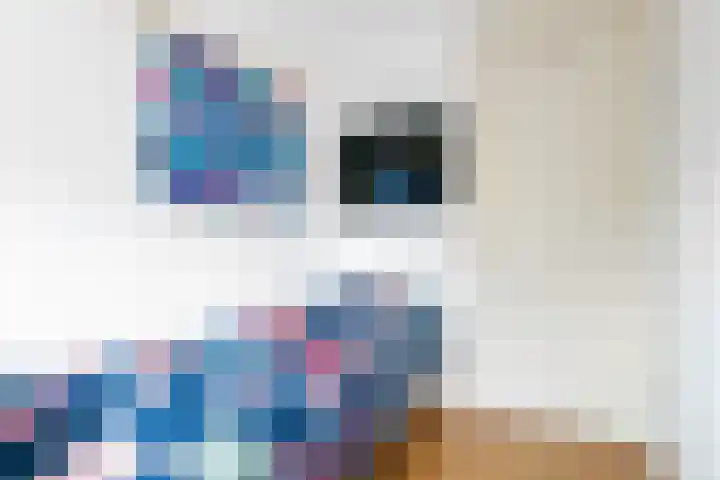 Vespasianusweg 6 De Meern thumbnail 20
