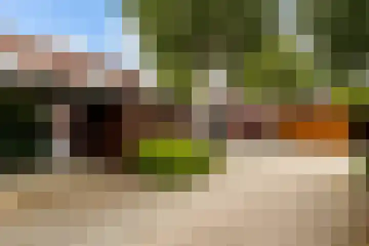 Vespasianusweg 6 De Meern thumbnail 29
