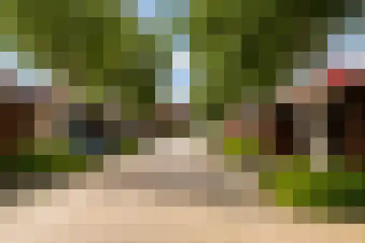 Vespasianusweg 6 De Meern thumbnail 30