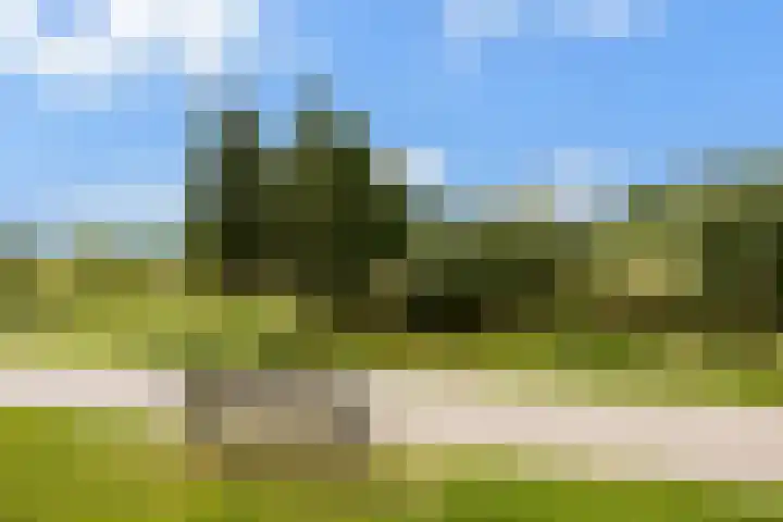 Vespasianusweg 6 De Meern thumbnail 31