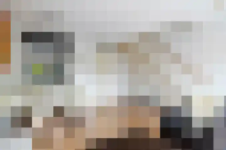 Vespasianusweg 6 De Meern thumbnail 8