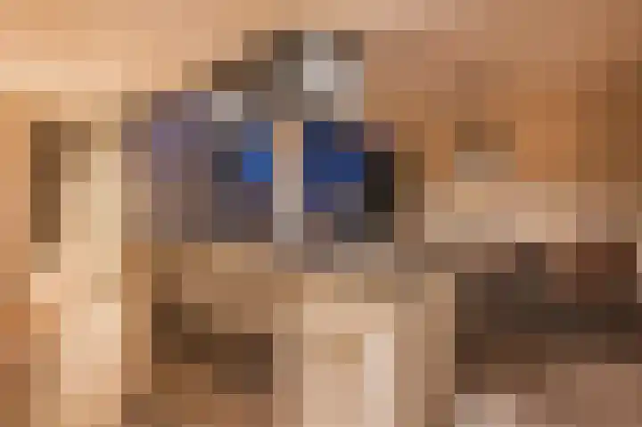 Vesperstraat 49 Mierlo thumbnail 17