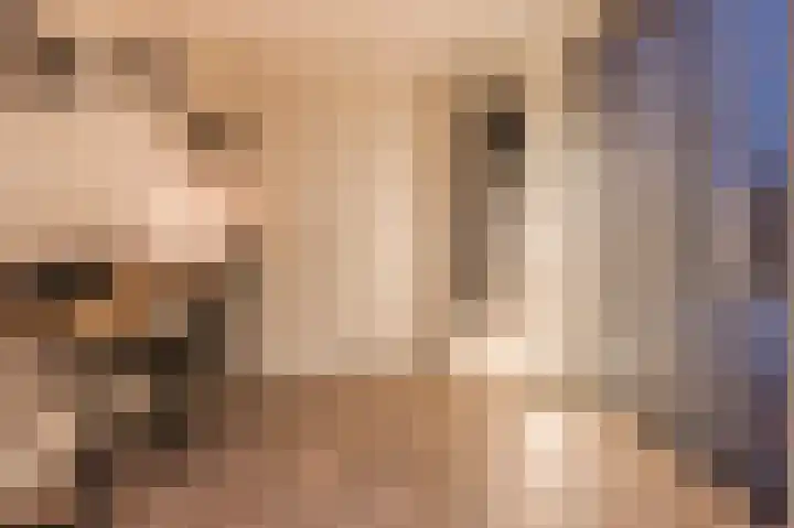 Vesperstraat 49 Mierlo thumbnail 22