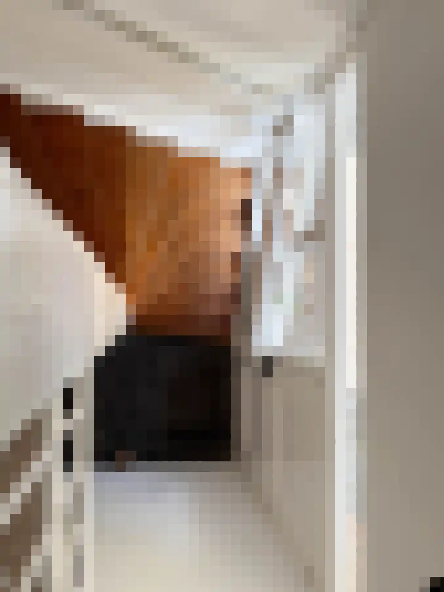 Vesperstraat 49 Mierlo thumbnail 26