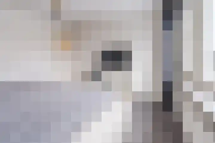 Vesperstraat 49 Mierlo thumbnail 28