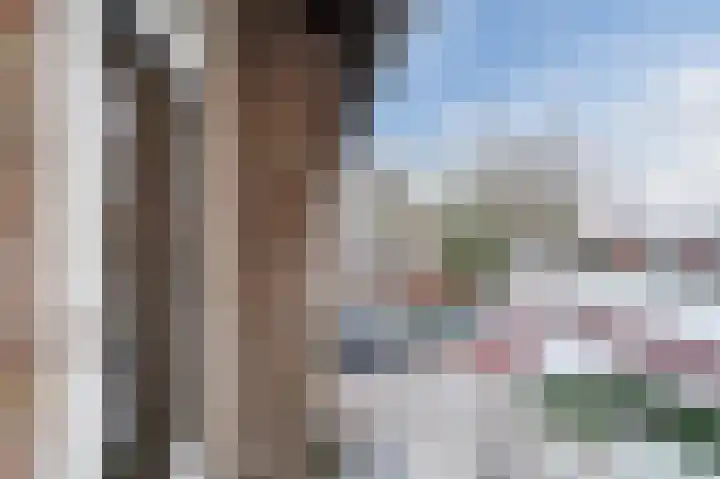 Vesperstraat 49 Mierlo thumbnail 35