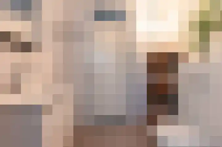 Vesperstraat 49 Mierlo thumbnail 4
