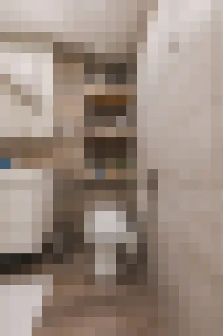 Vesperstraat 49 Mierlo thumbnail 40