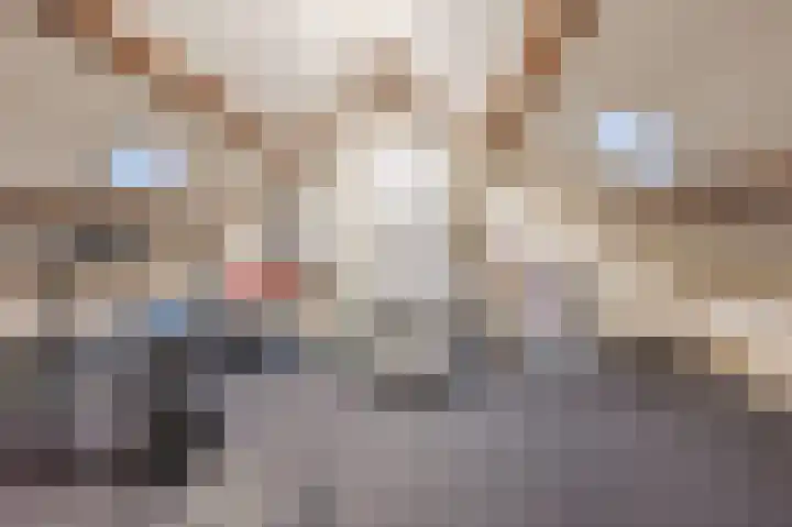 Vesperstraat 49 Mierlo thumbnail 43