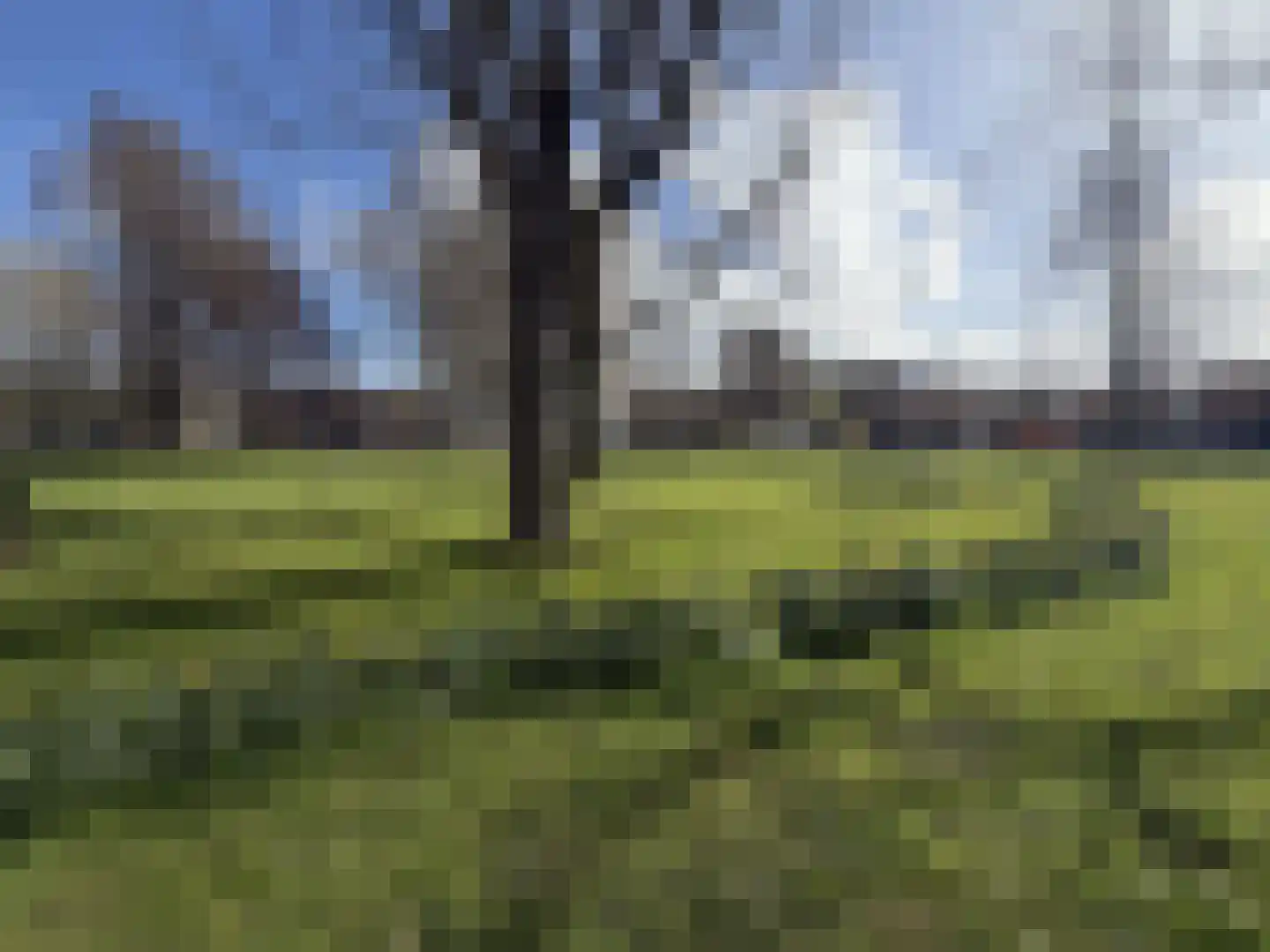 Vesperstraat 49 Mierlo thumbnail 44