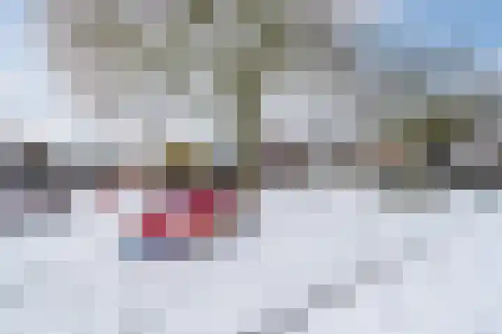 Vesperstraat 49 Mierlo thumbnail 62