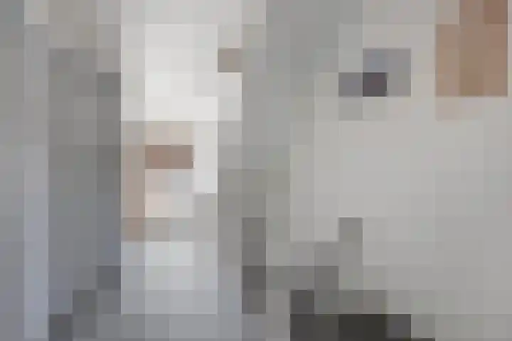 Vesperstraat 5 Sneek thumbnail 24