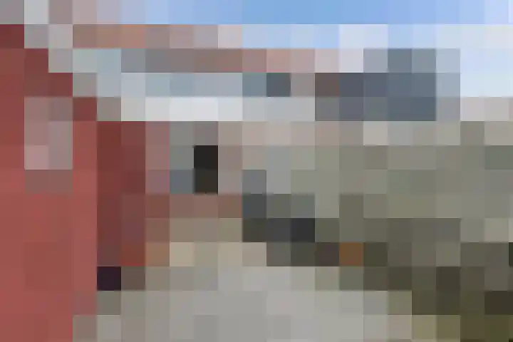 Vesperstraat 5 Sneek thumbnail 31