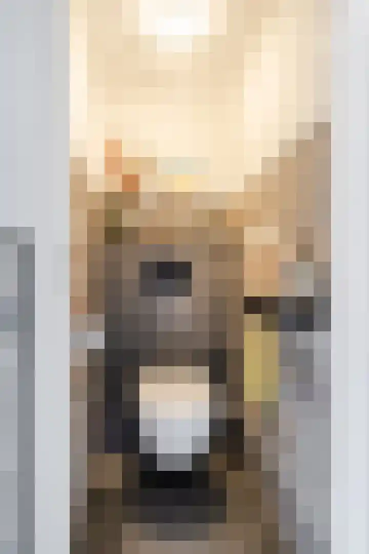 Vespuccistraat 13 Geldrop thumbnail 11