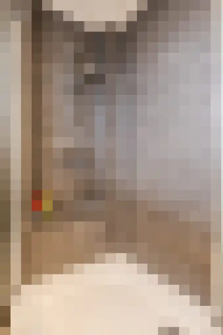 Vespuccistraat 13 Geldrop thumbnail 20