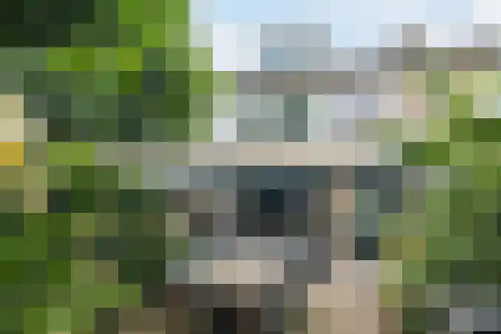 Vespuccistraat 13 Geldrop thumbnail 25