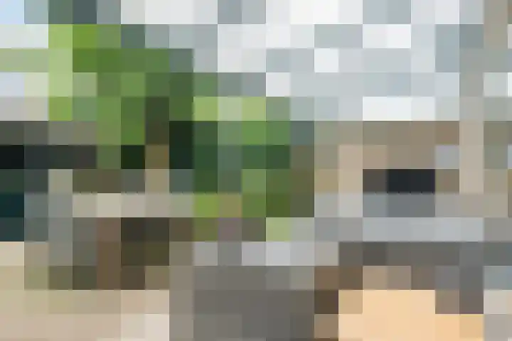 Vespuccistraat 13 Geldrop thumbnail 27