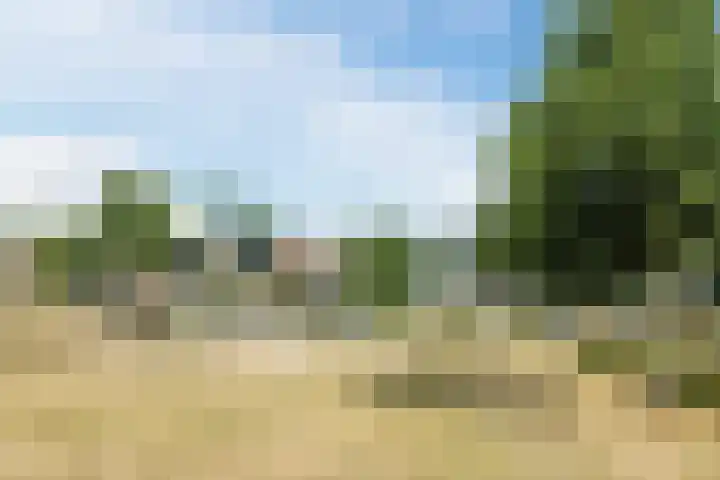 Vespuccistraat 13 Geldrop thumbnail 32