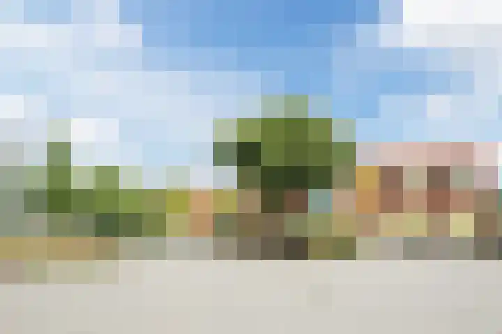 Vespuccistraat 13 Geldrop thumbnail 33