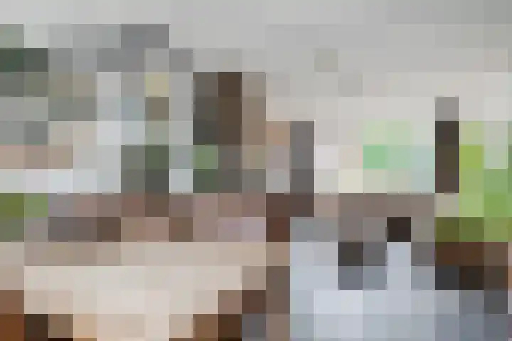 Vespuccistraat 13 Geldrop thumbnail 4