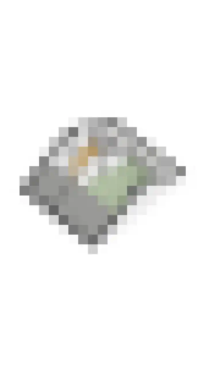 Vespuccistraat 13 Geldrop thumbnail 40