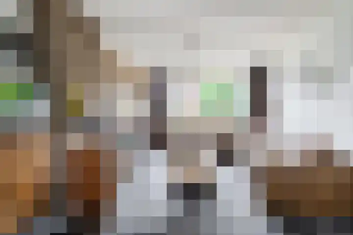 Vespuccistraat 13 Geldrop thumbnail 5