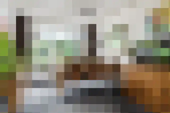 Vespuccistraat 13 Geldrop thumbnail 8