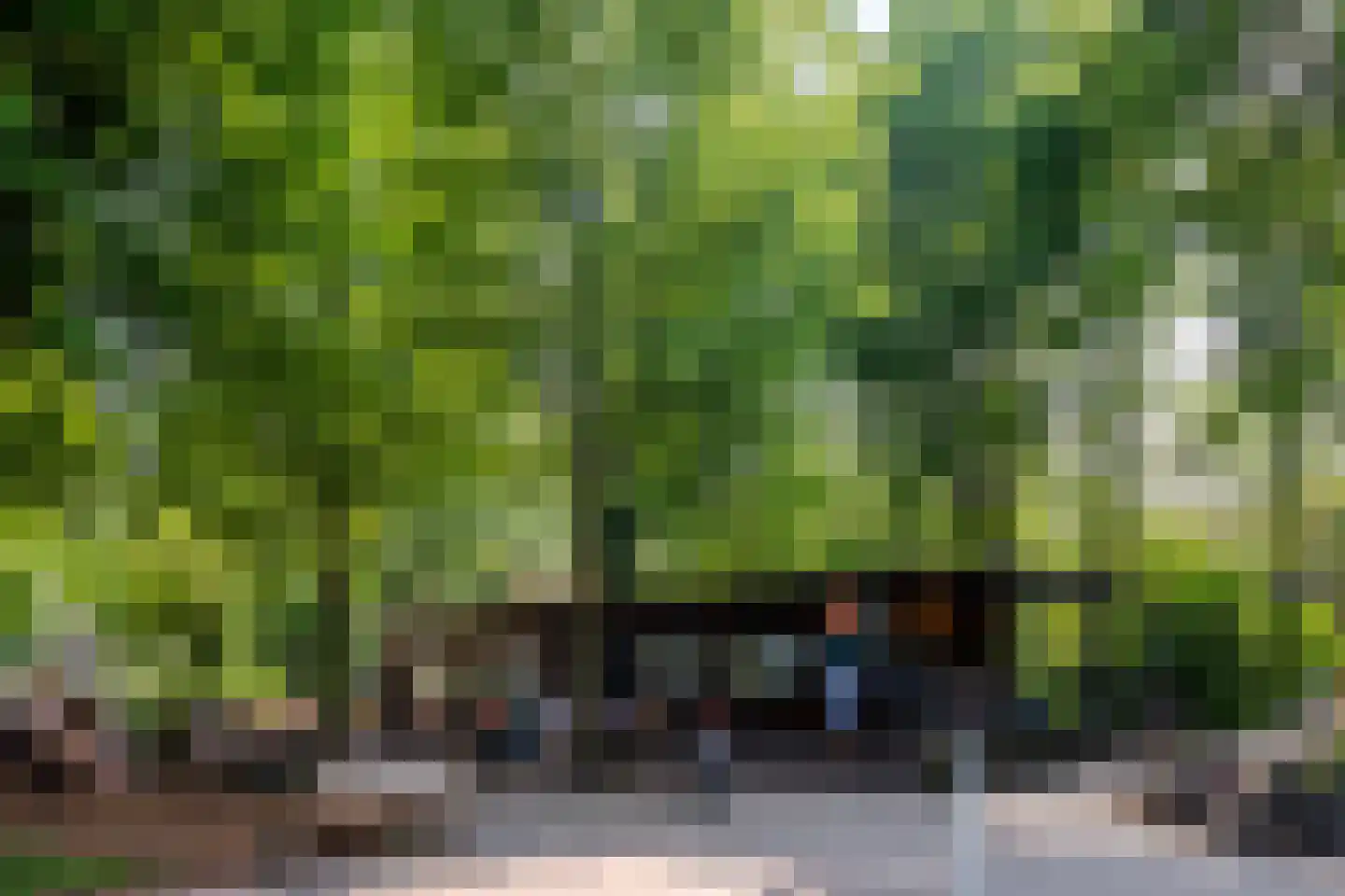 Vespuccistraat 134 H Amsterdam thumbnail 23