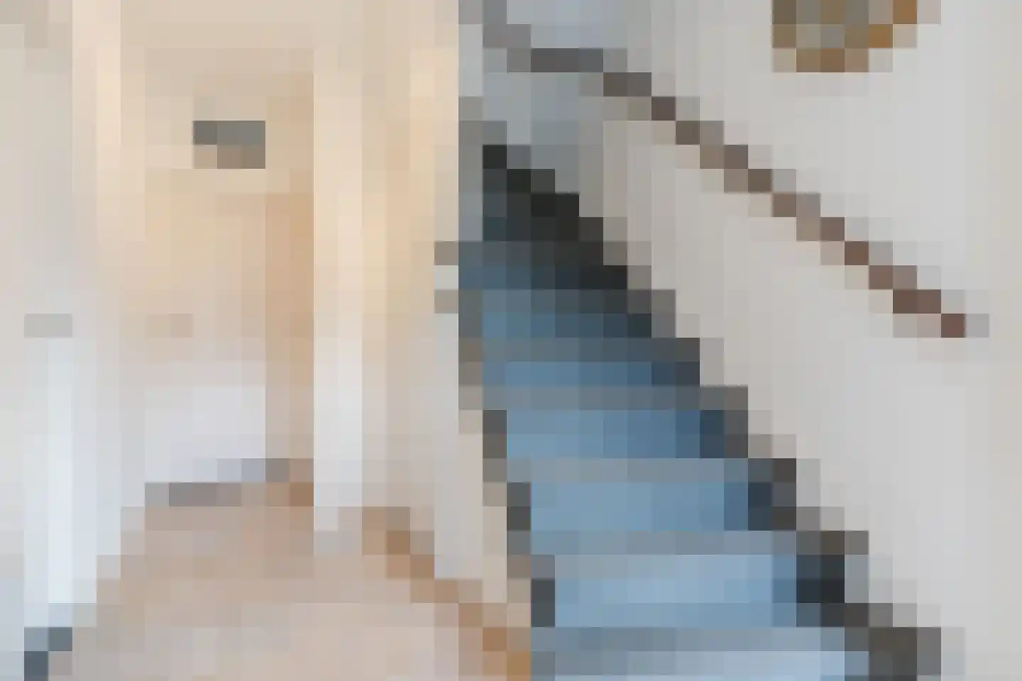Vespuccistraat 15 Geldrop thumbnail 17