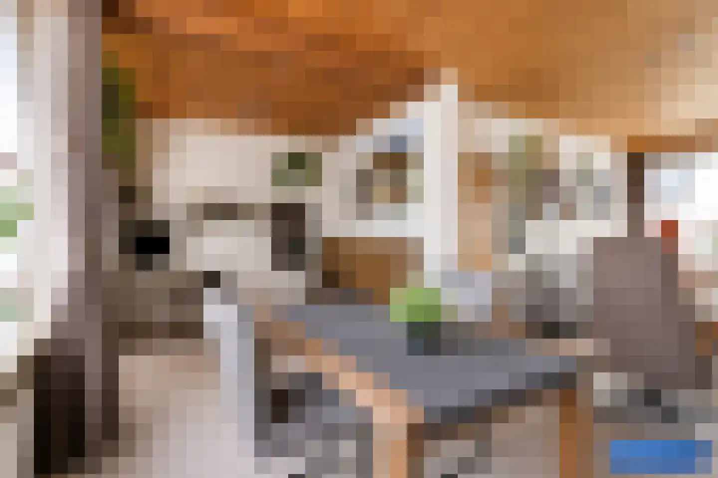 Vespuccistraat 22 Geldrop thumbnail 12