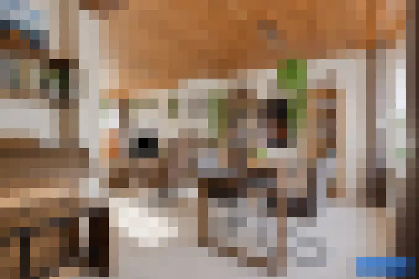 Vespuccistraat 22 Geldrop thumbnail 13