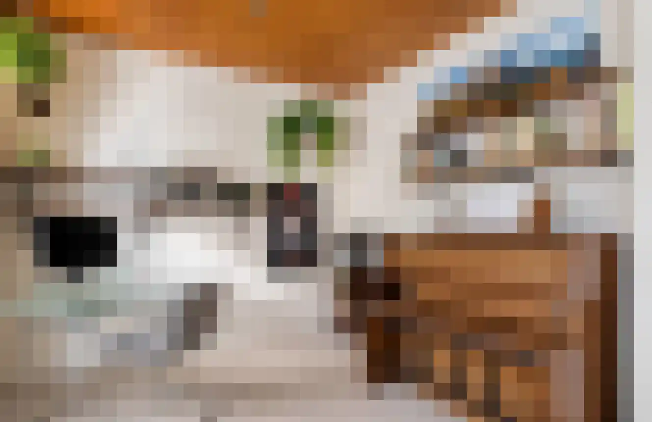 Vespuccistraat 22 Geldrop thumbnail 14