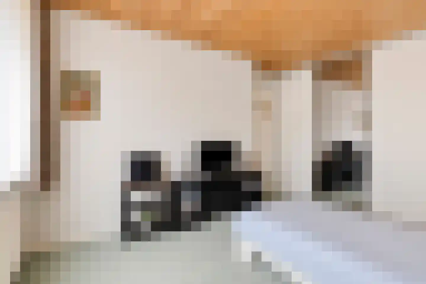 Vespuccistraat 22 Geldrop thumbnail 17