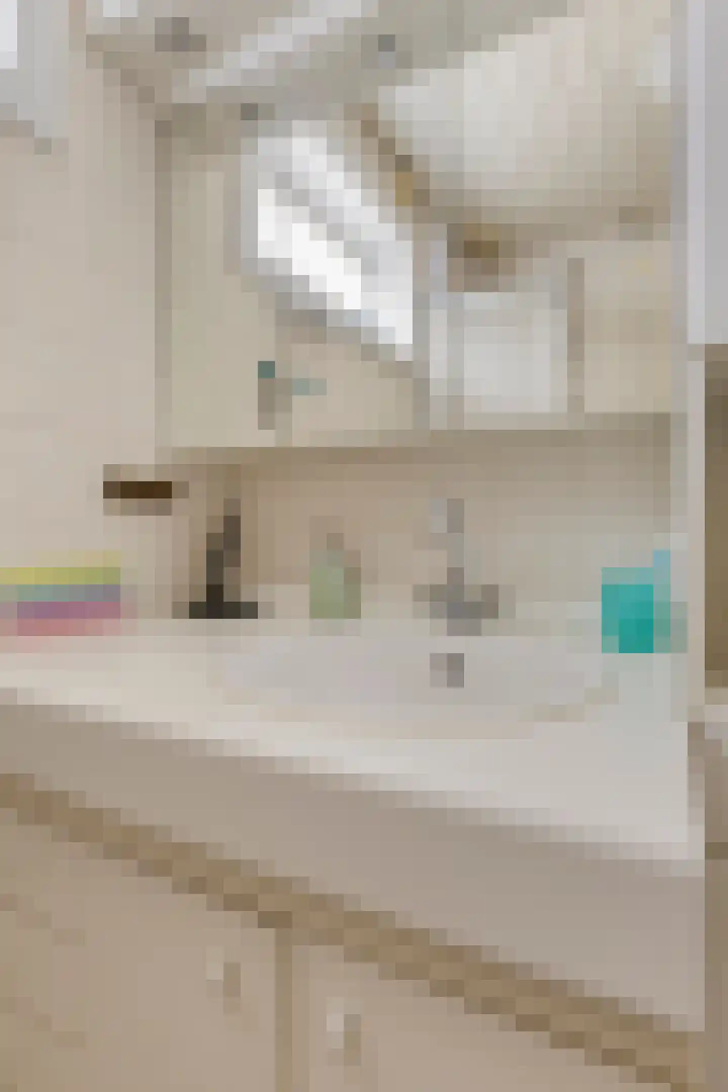 Vespuccistraat 22 Geldrop thumbnail 21