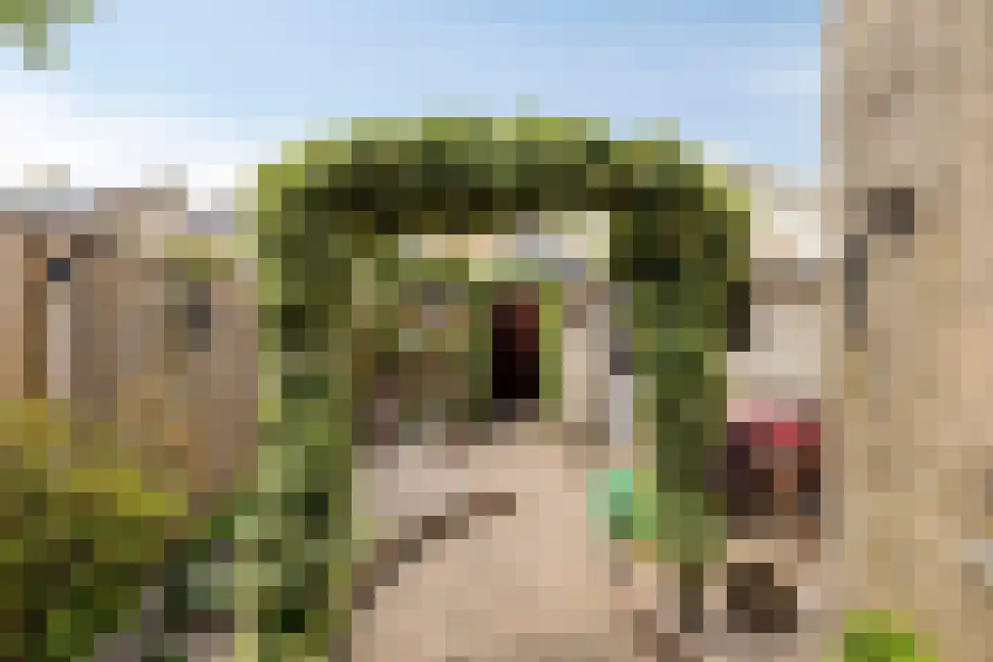 Vespuccistraat 22 Geldrop thumbnail 25