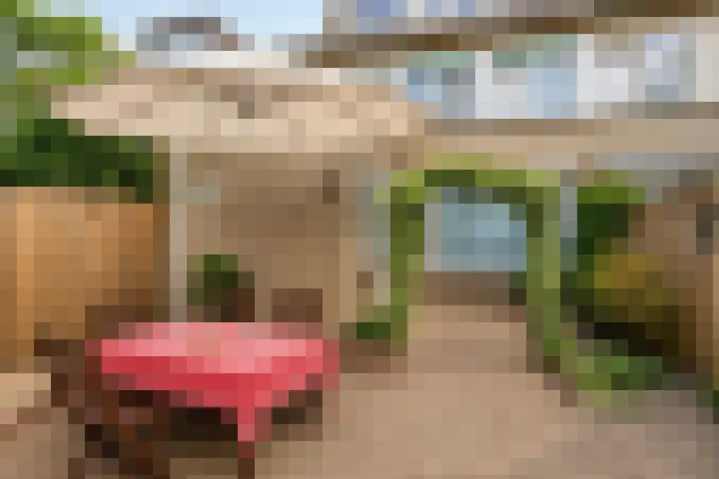 Vespuccistraat 22 Geldrop thumbnail 26