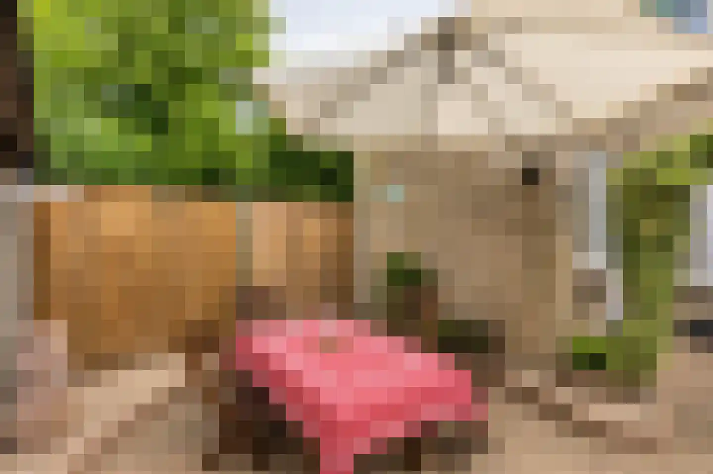 Vespuccistraat 22 Geldrop thumbnail 27