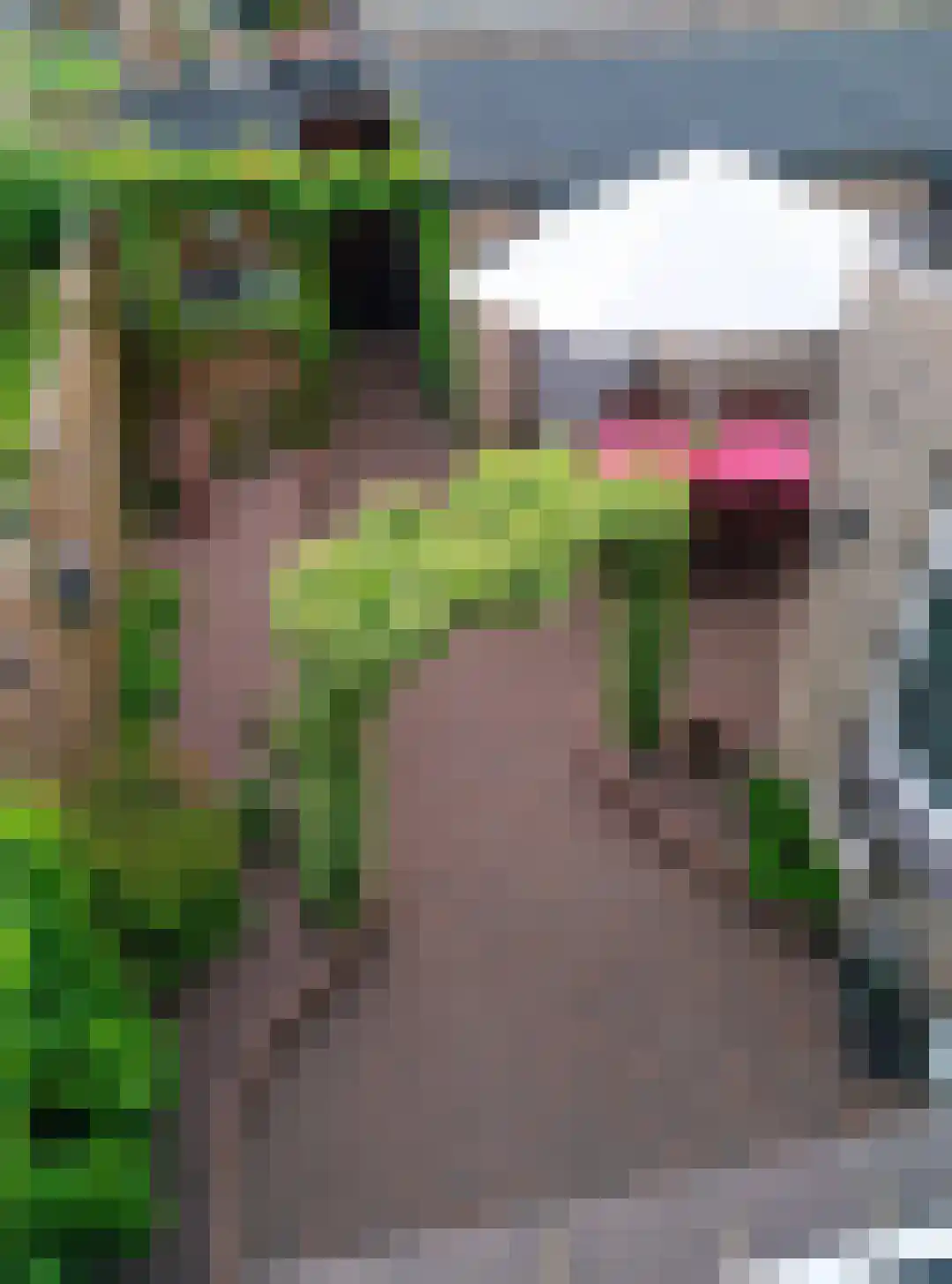 Vespuccistraat 22 Geldrop thumbnail 28