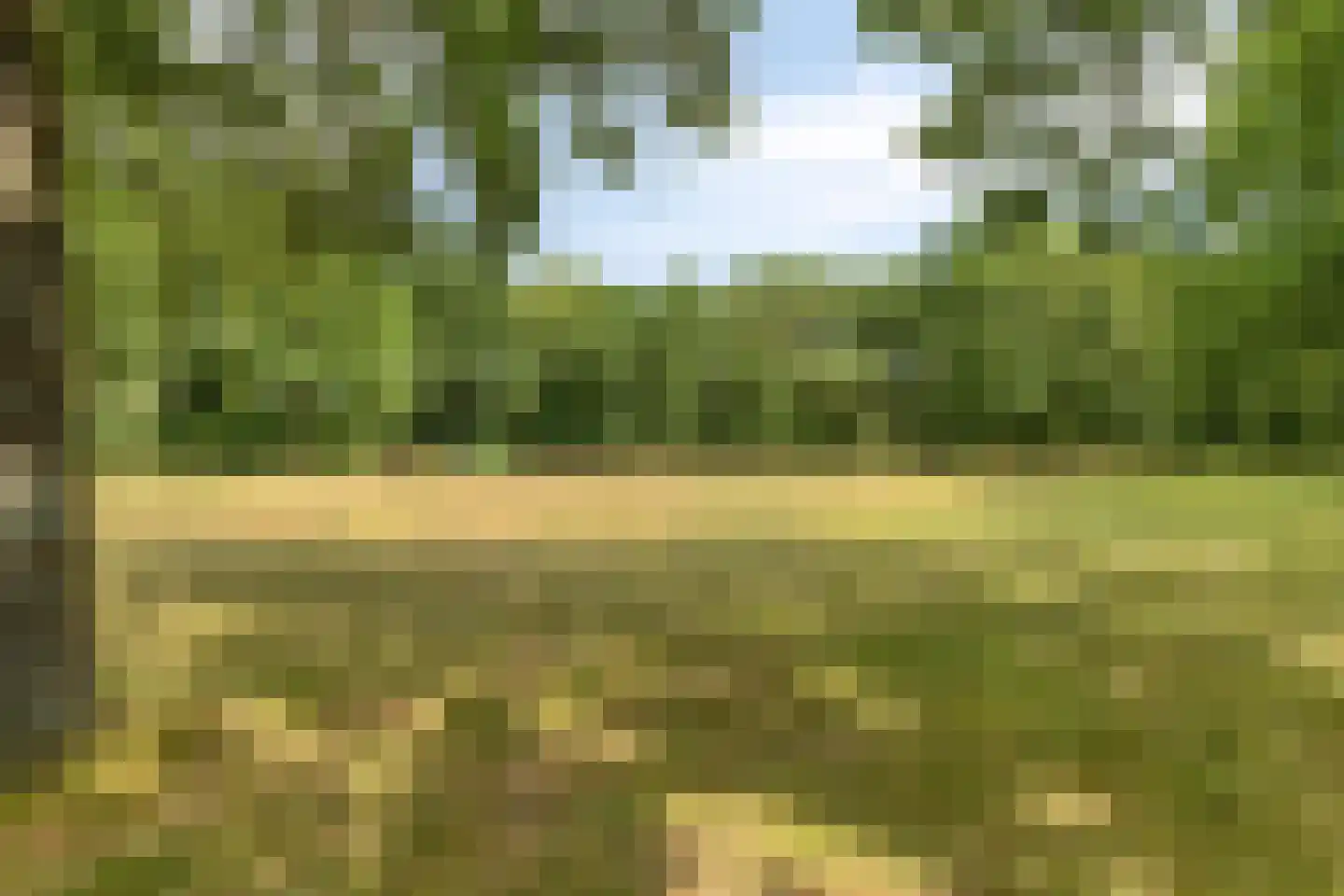 Vespuccistraat 22 Geldrop thumbnail 30