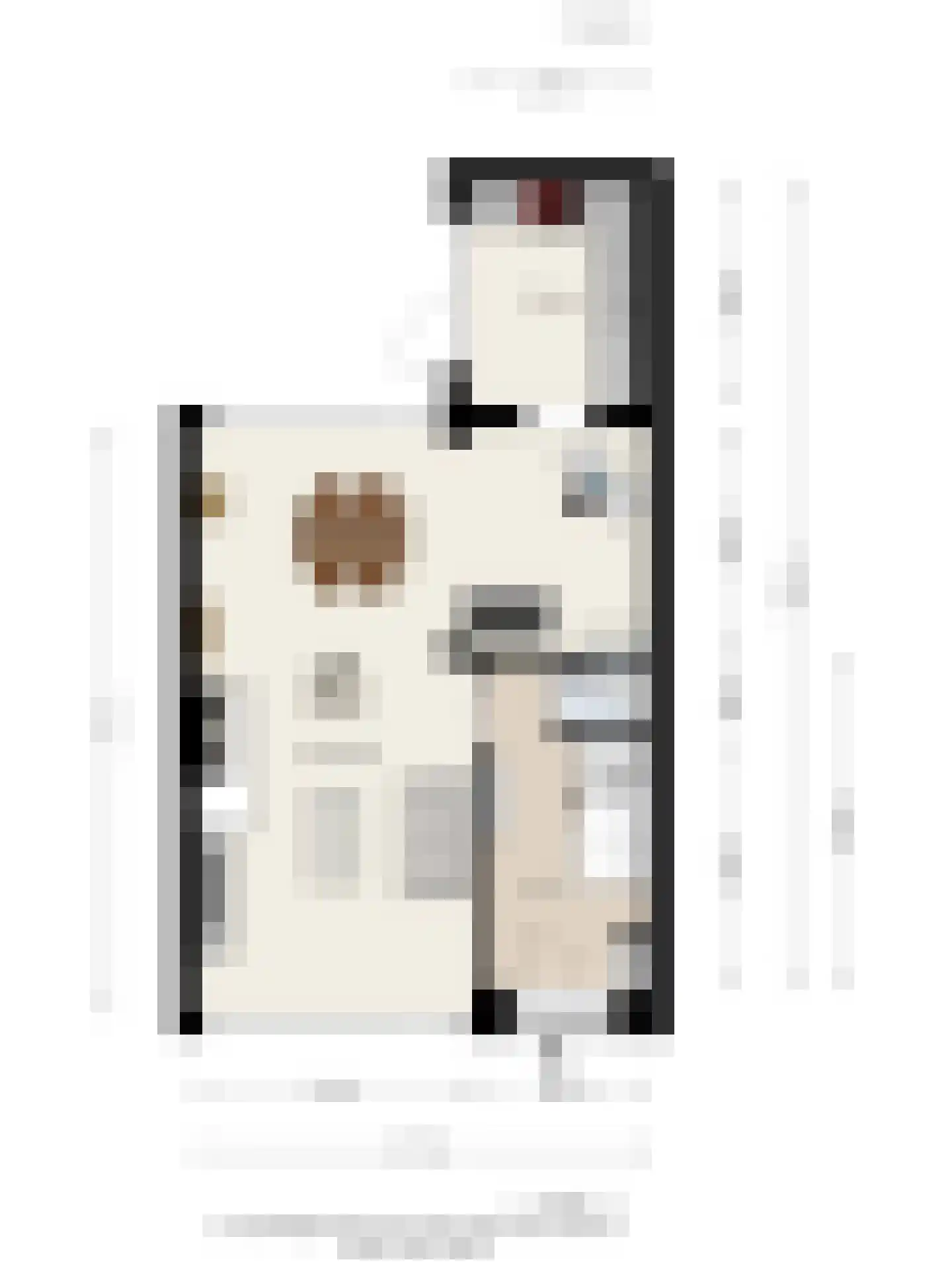 Vespuccistraat 22 Geldrop thumbnail 34
