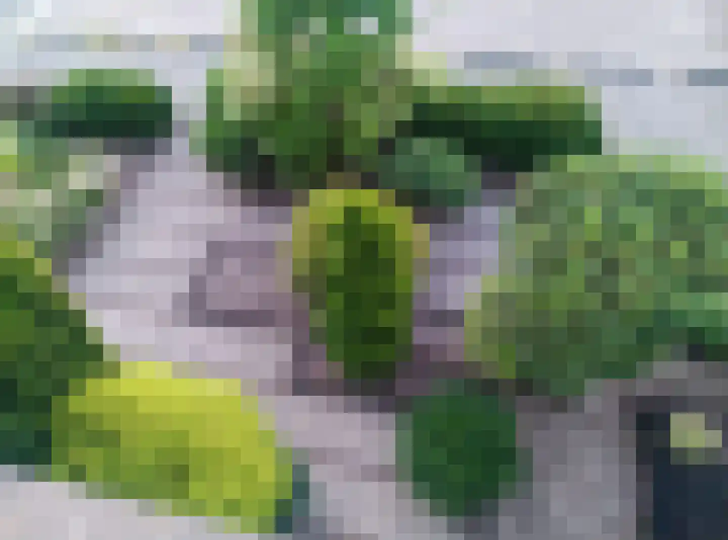 Vespuccistraat 22 Geldrop thumbnail 7