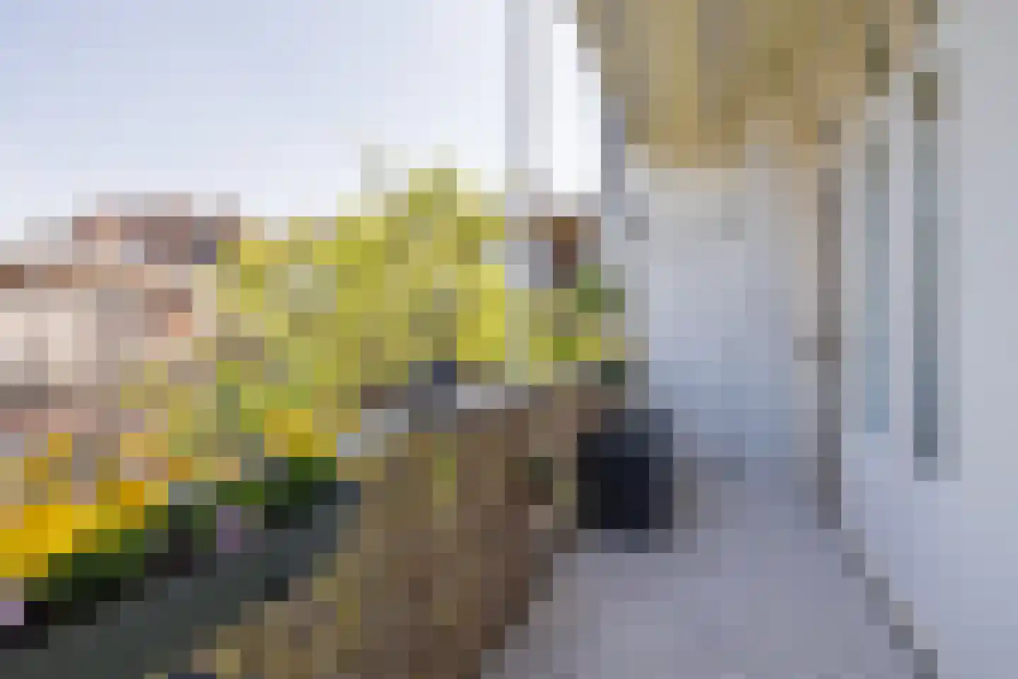 Vespuccistraat 44 1 Amsterdam thumbnail 20