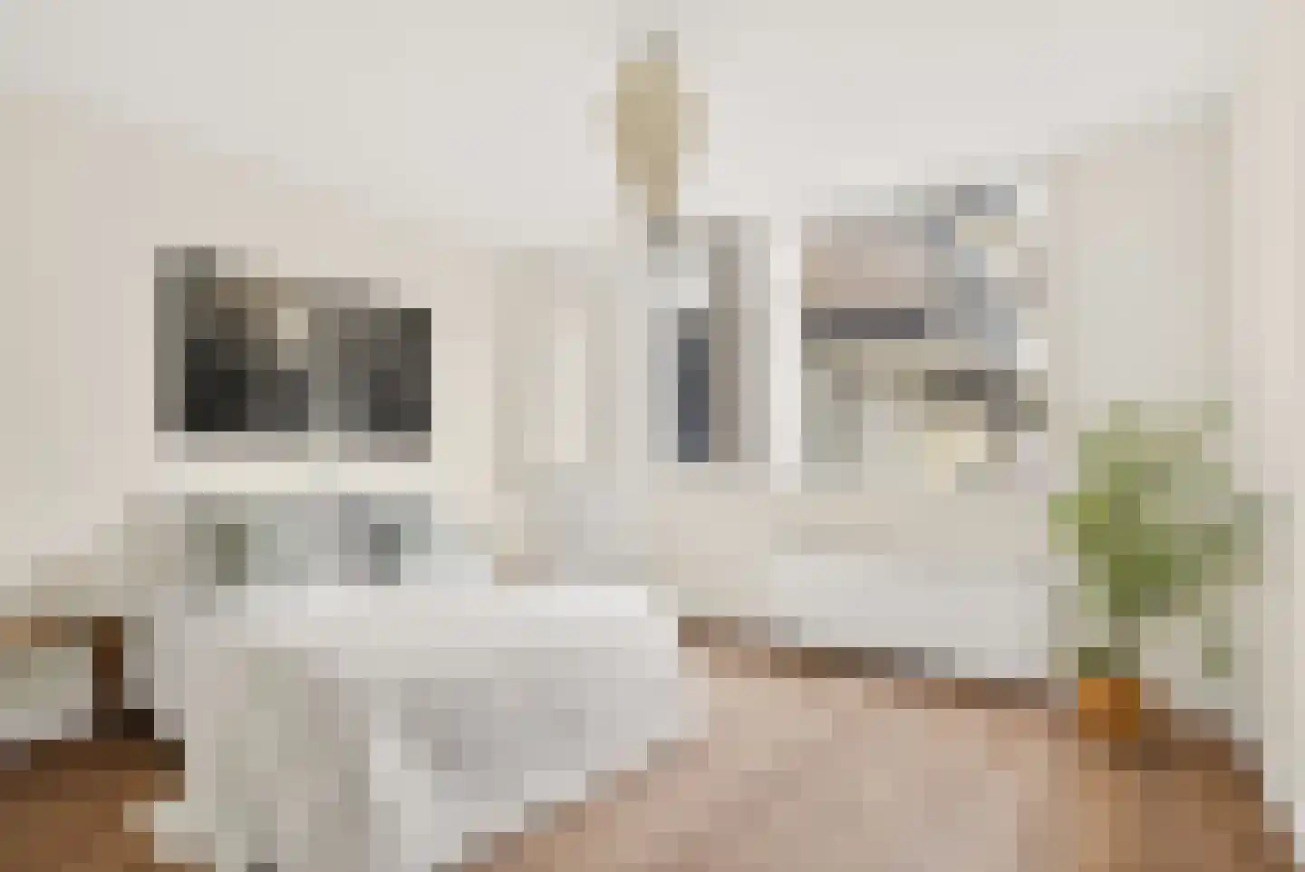 Vespuccistraat 57 2 Amsterdam thumbnail 18