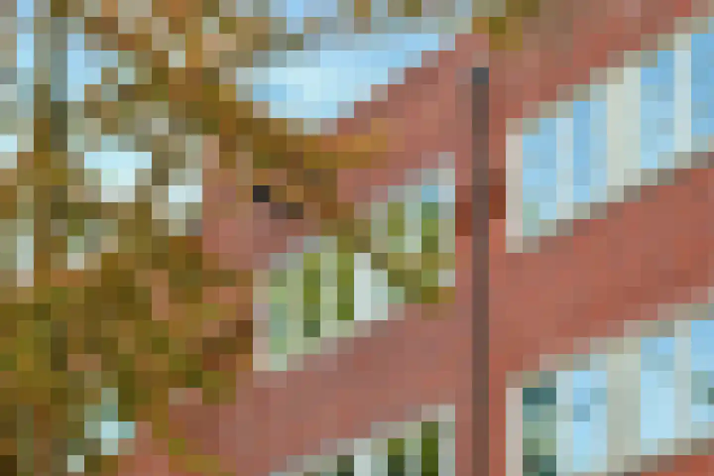 Vespuccistraat 61 3 Amsterdam thumbnail 19