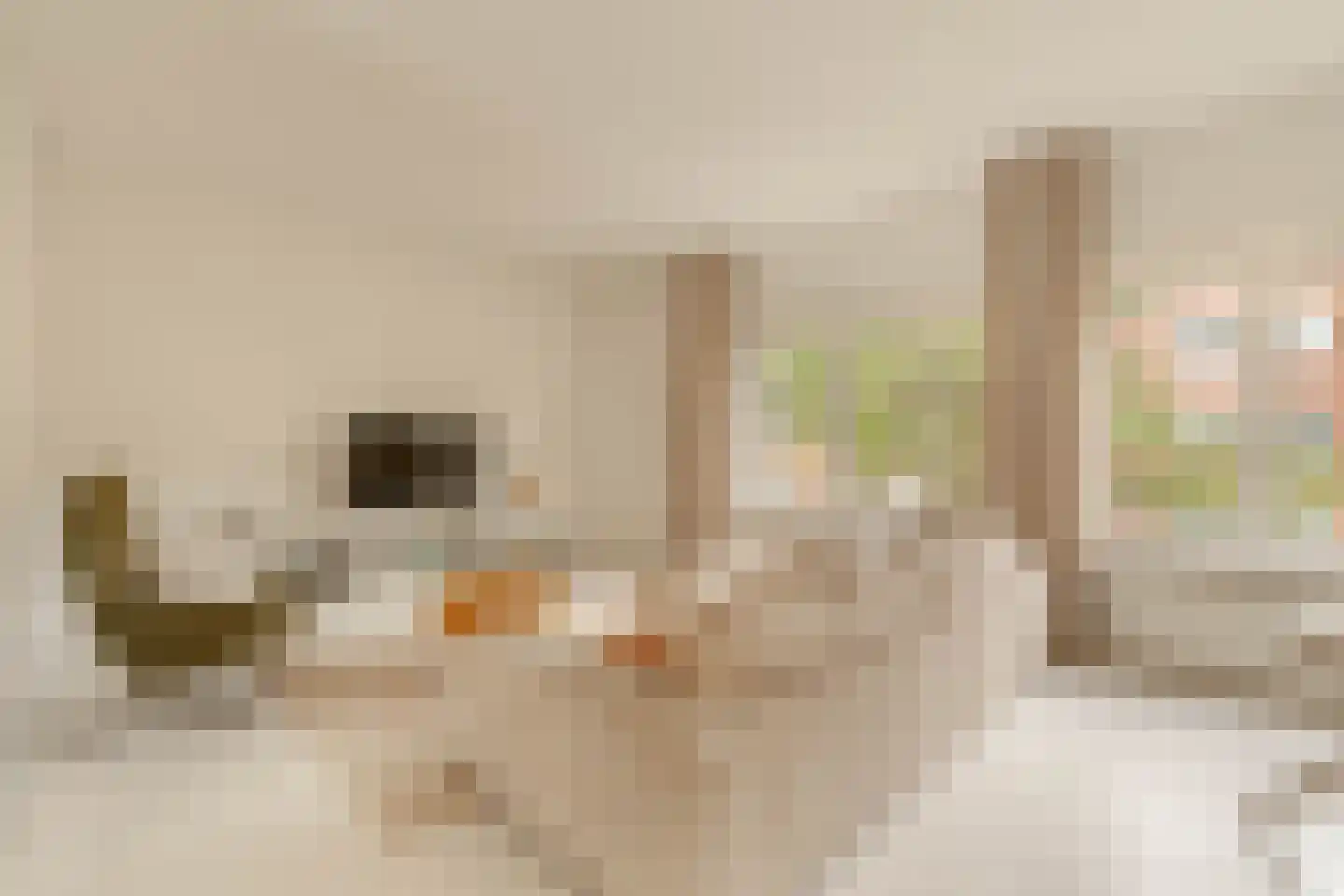 Vespuccistraat 70 2 Amsterdam thumbnail 6