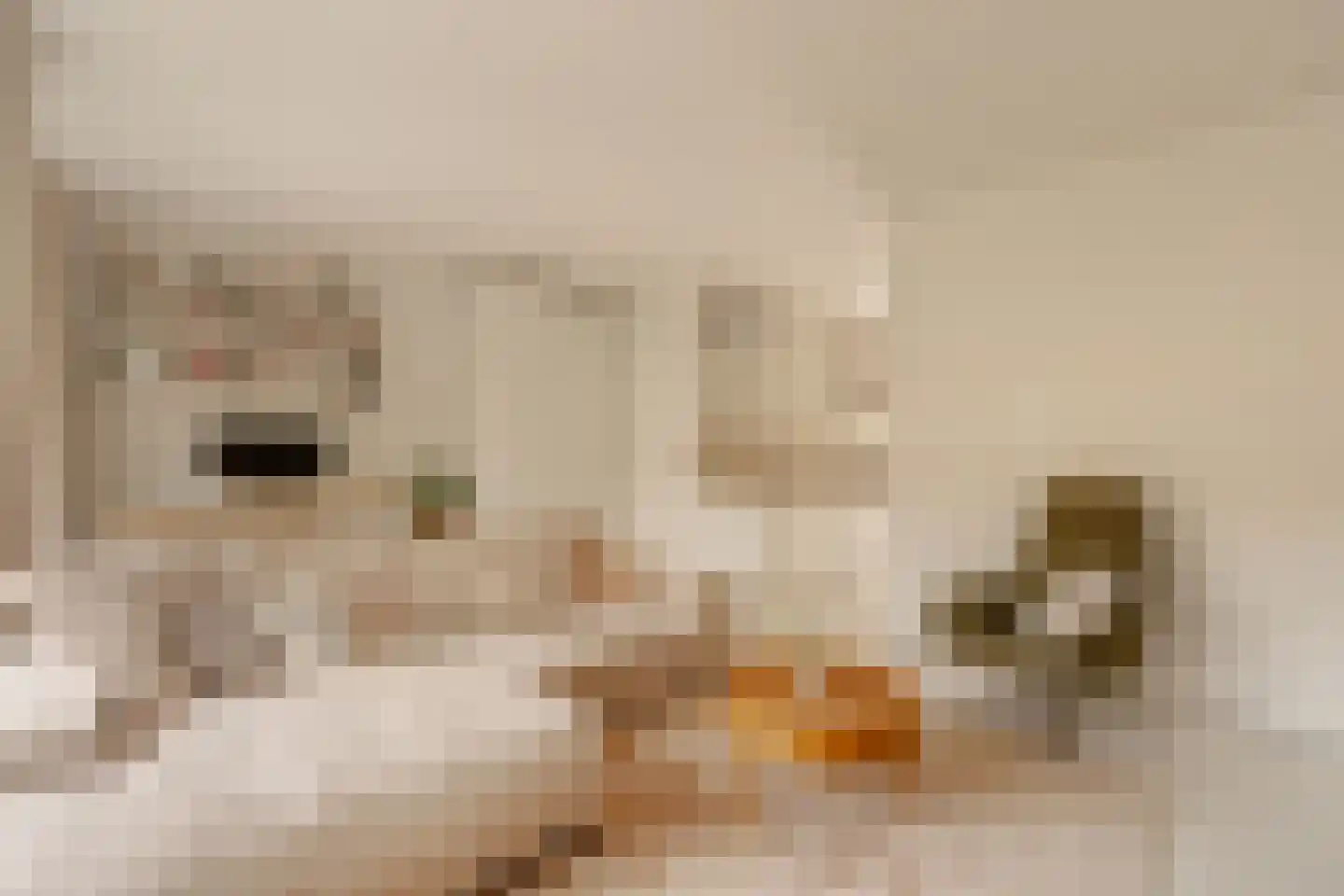 Vespuccistraat 70 2 Amsterdam thumbnail 7