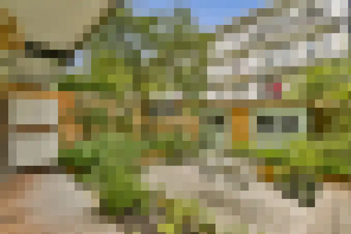 Vespuccistraat 85 H Amsterdam thumbnail 12