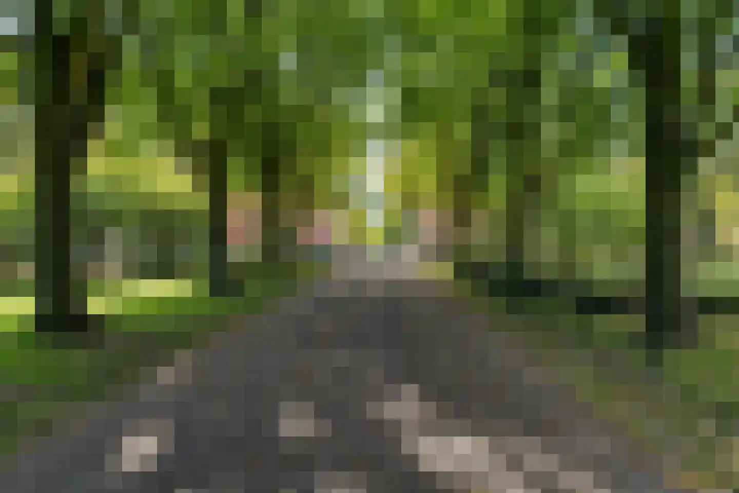 Vespuccistraat 99 2 Amsterdam thumbnail 33